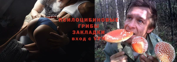 СК Богородск