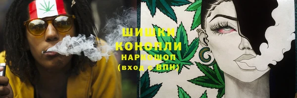 стаф Богданович