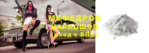 стаф Богданович
