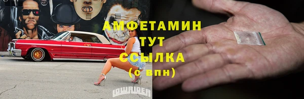 стаф Богданович