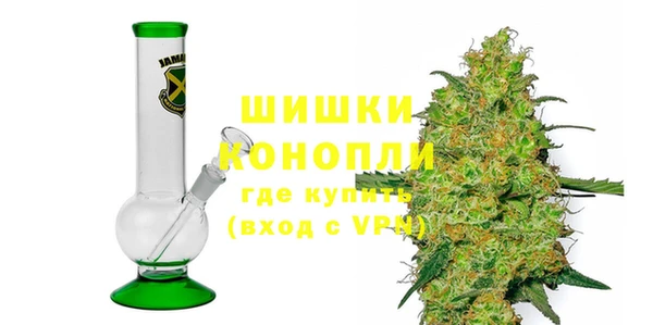 стаф Богданович