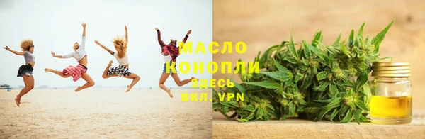 тгк Богородицк