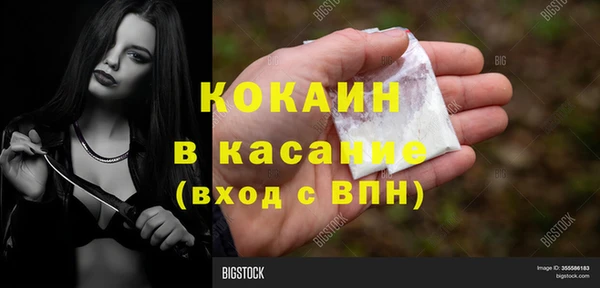 тгк Богородицк