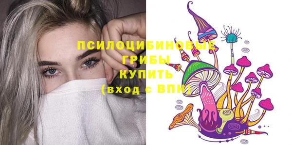 стаф Богданович