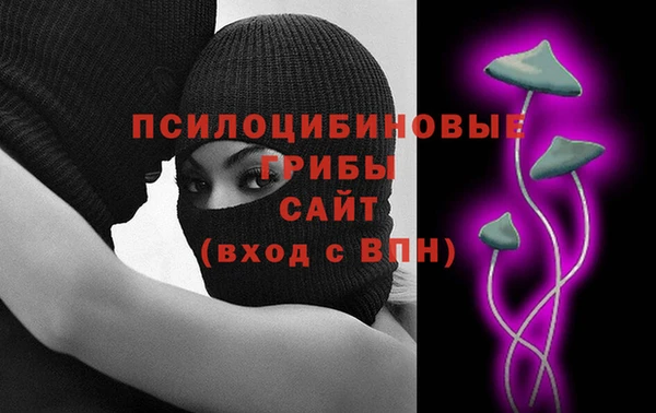 стаф Богданович