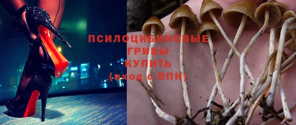 СК Богородск