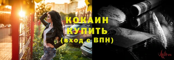 СК Богородск
