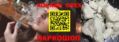гидропоника Кунгур