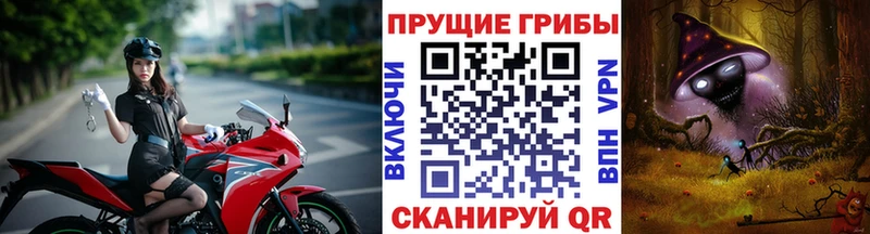 hydra зеркало  Горячий Ключ  Галлюциногенные грибы Psilocybine cubensis 