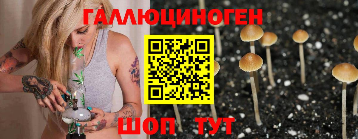 Псилоцибиновые грибы мухоморы  Вход с VPN  Горячий Ключ 
